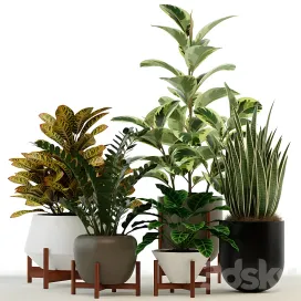 Plants collection modernica pots